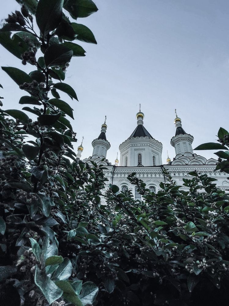 Photograph by Konstantin Morozov