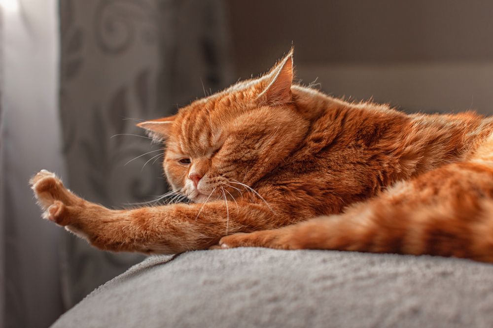 Photograph by Евгения Немчнова