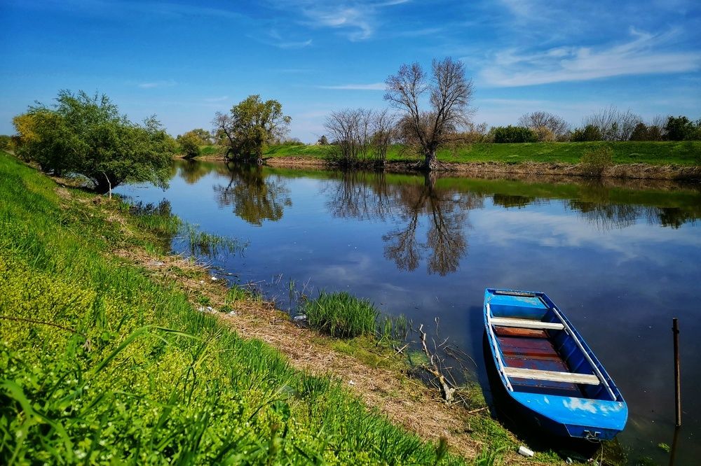 Photograph by Alexandra Sasha