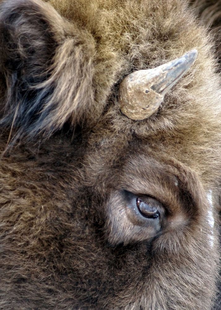 Photograph by Евгений Жиляев