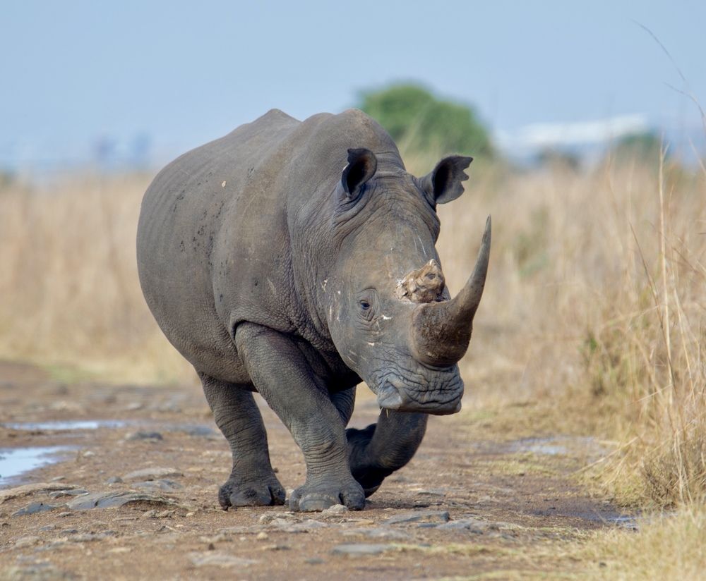 Photograph by Areef Photography