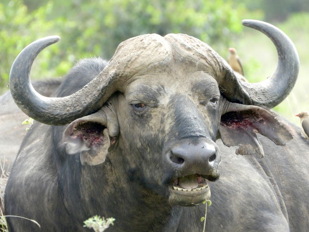 Photograph by Areef Photography