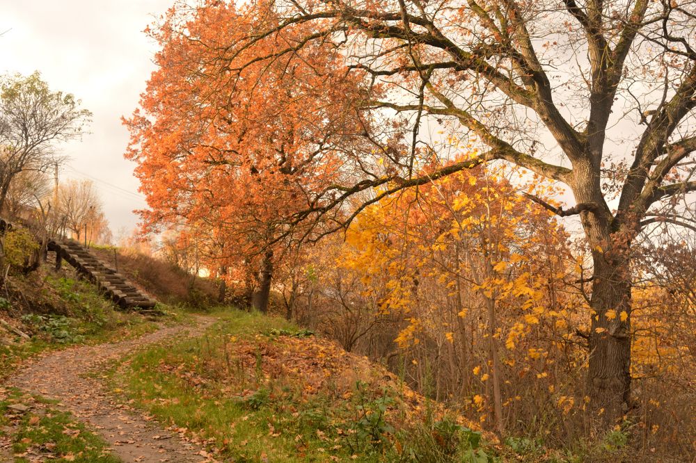 Photograph by Светлана Агапова