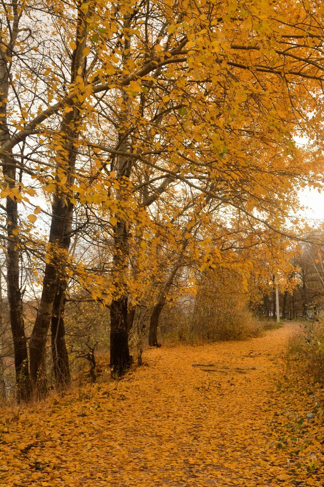 Photograph by Светлана Агапова