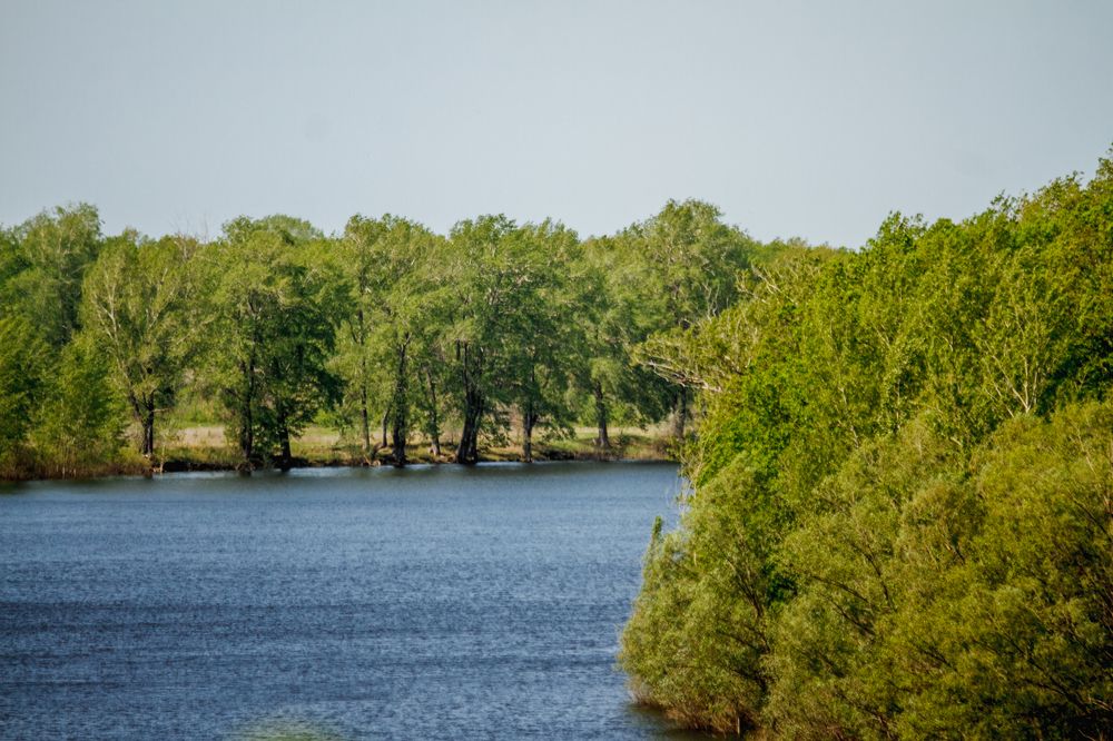 Photograph by Оксана