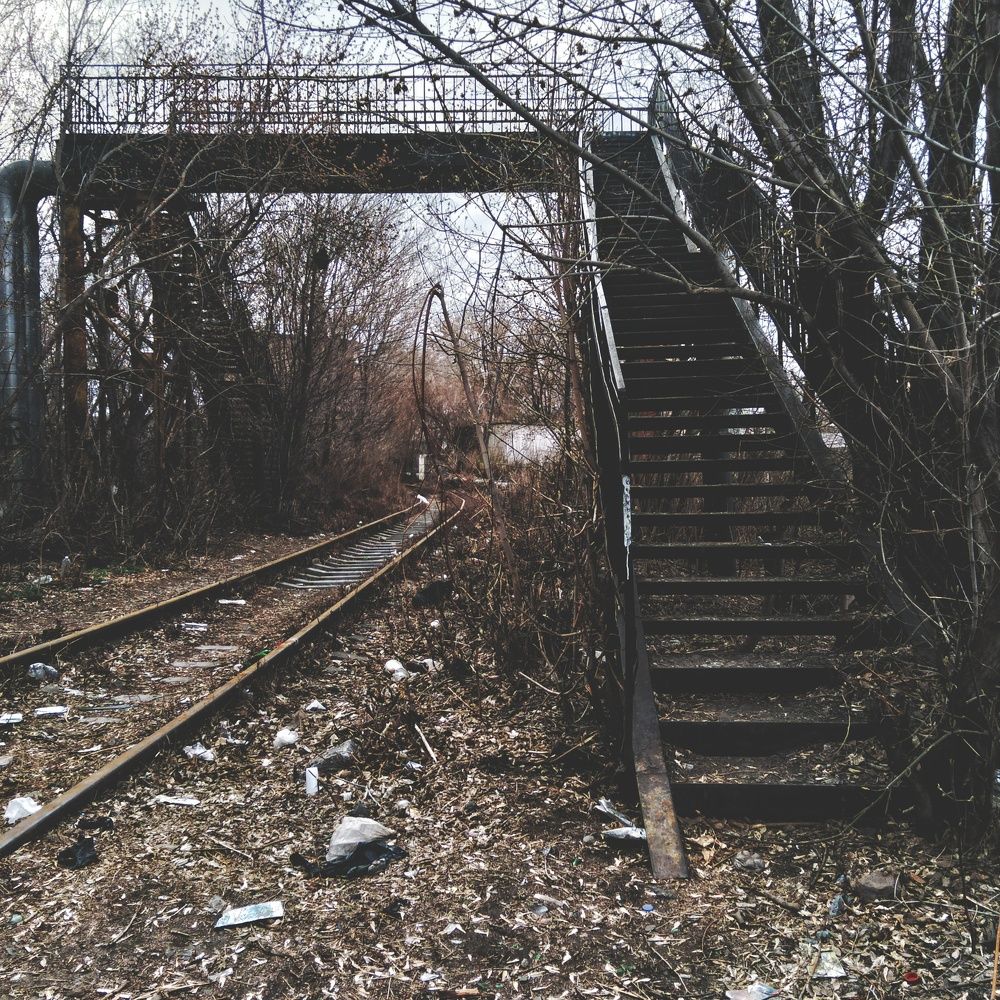 Photo #6186599