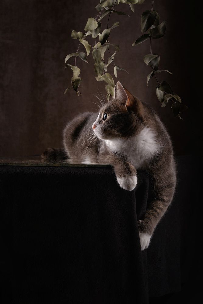 Photograph by Алексей и Юлия Дарьины