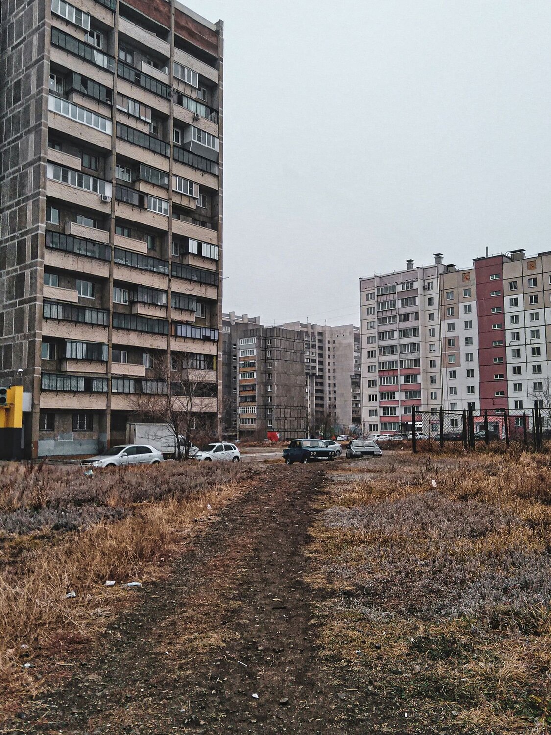 Photo #6186608