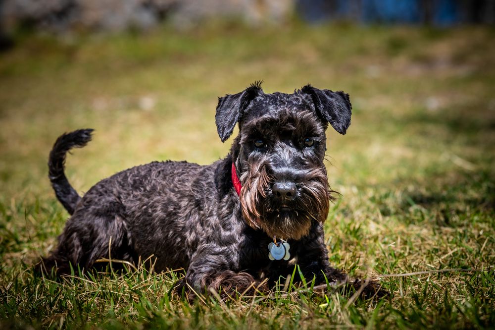 Photograph by  Mario