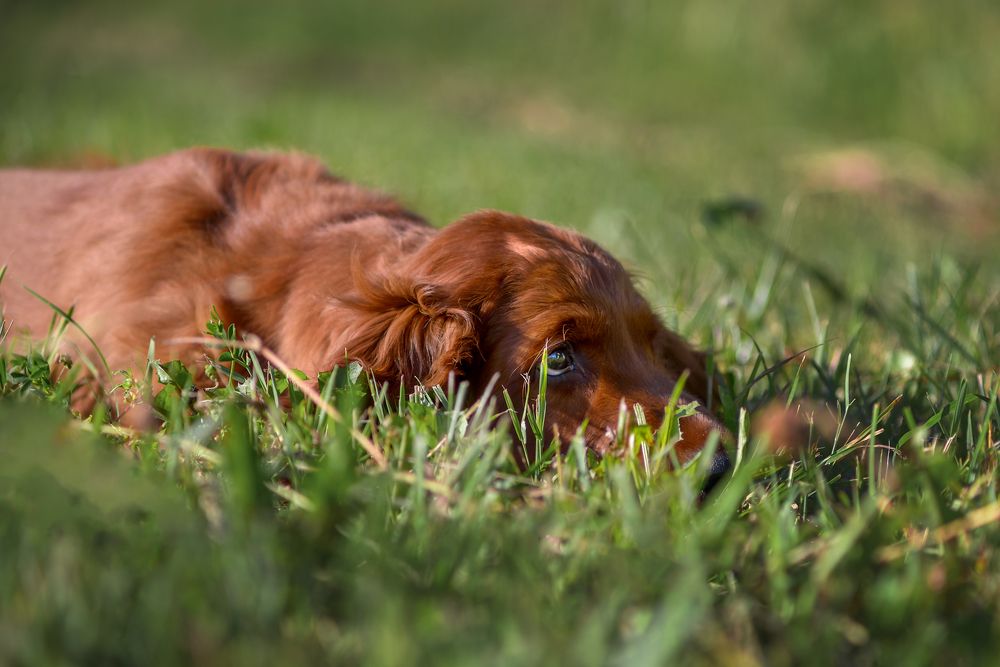Photograph by Ольга Максимова