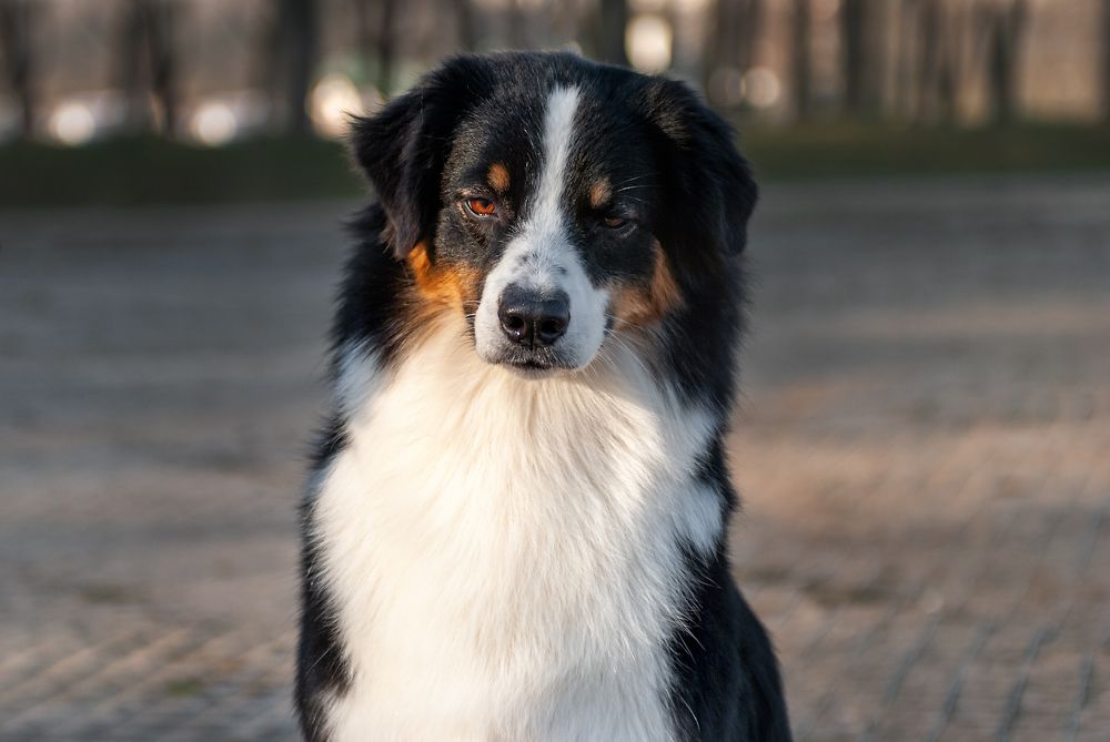 Photograph by Ольга Максимова