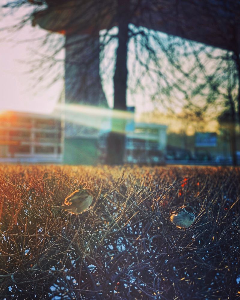 Photograph by Masha Morozova