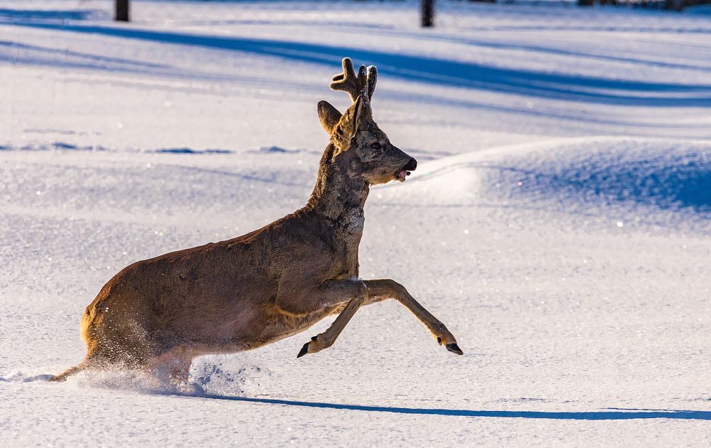 Photograph by Александр Есликов