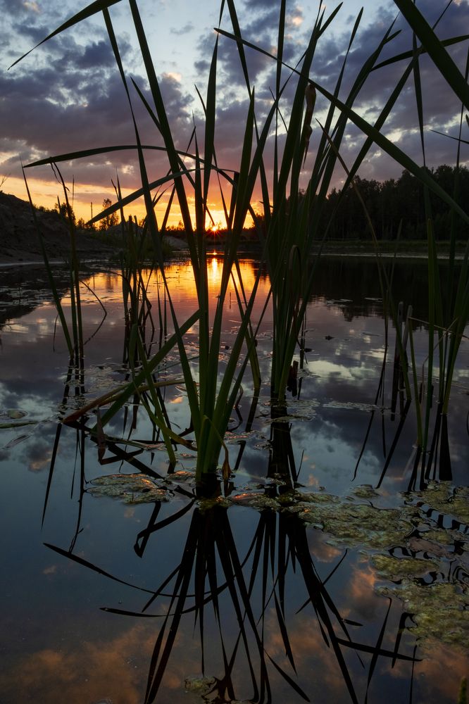 Photograph by Sandra