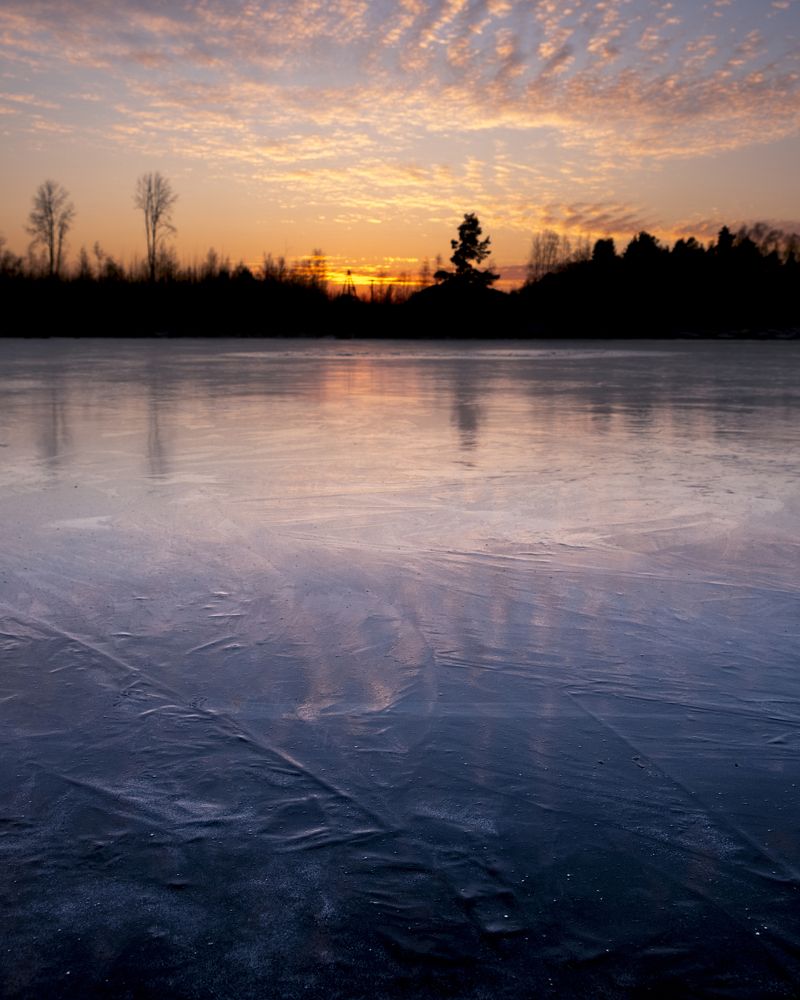 Photograph by Sandra