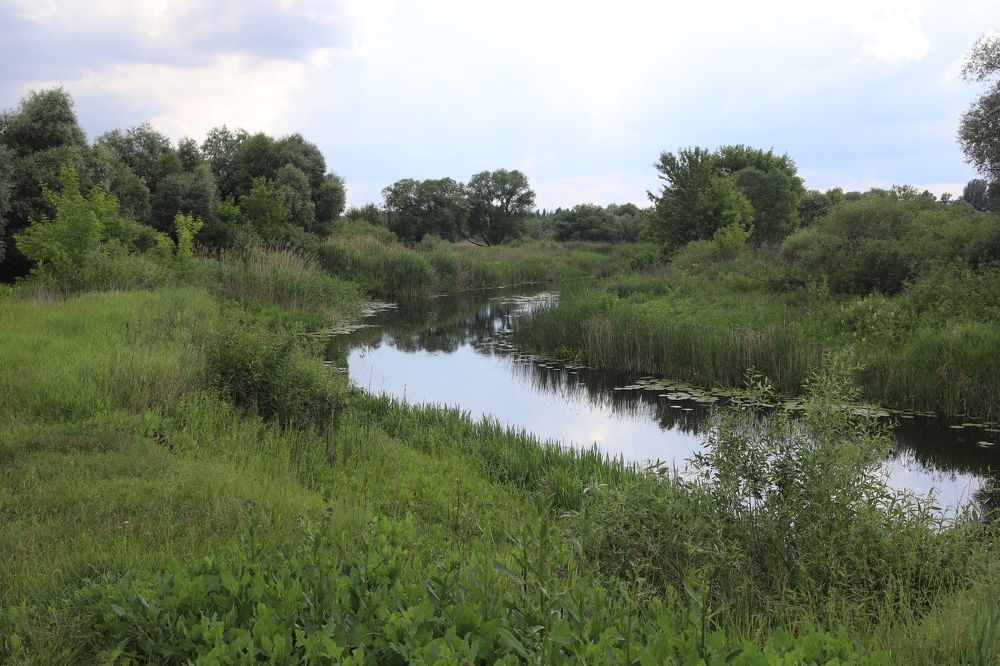 Photograph by Valery Bogushev