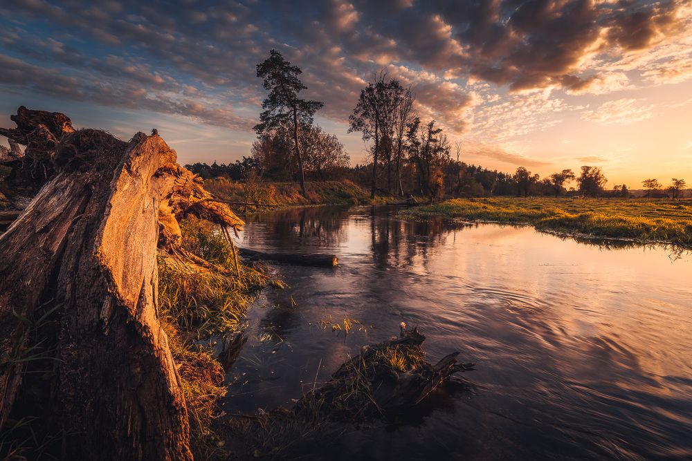 Photograph by Michał Tomczak