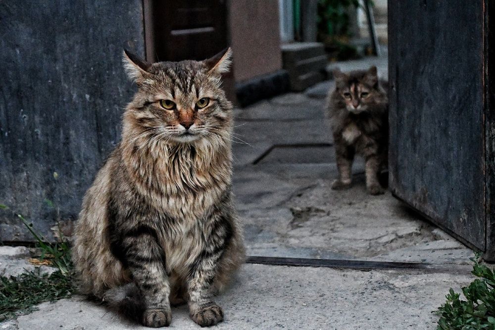 Photograph by Валерия Бердникова