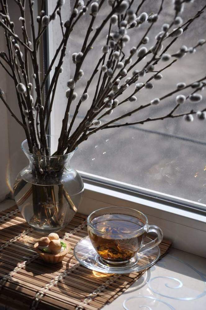 Photograph by Галина Лысых