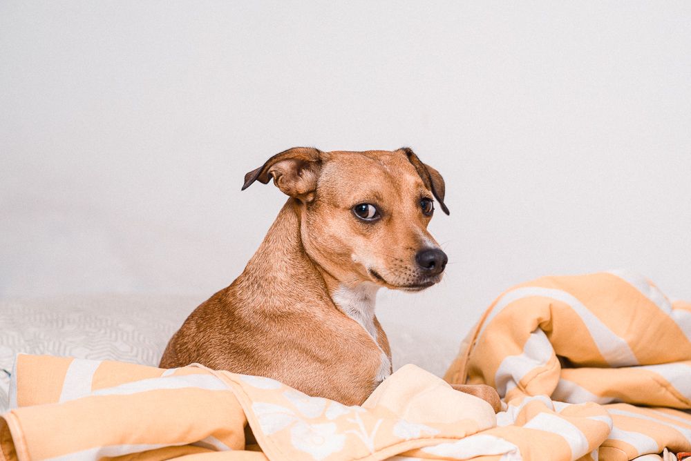 Photograph by thiago gimenes