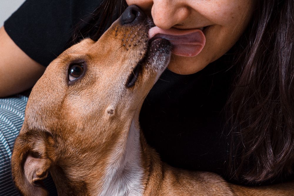 Photograph by thiago gimenes