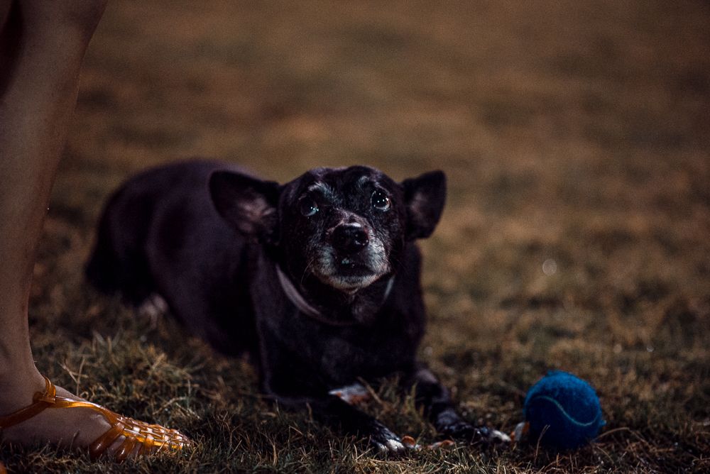 Photograph by thiago gimenes