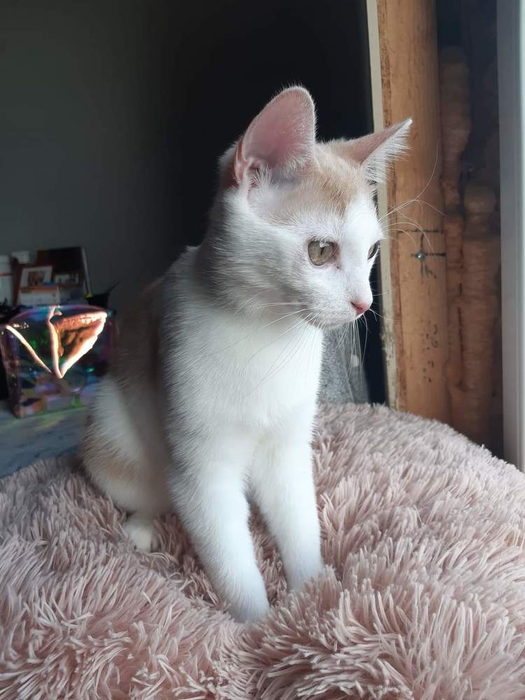 Photograph by Kristiina Soots