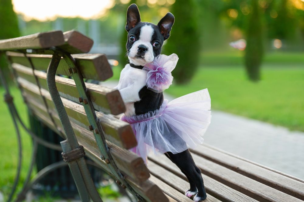 Photograph by Анастасия Мельник