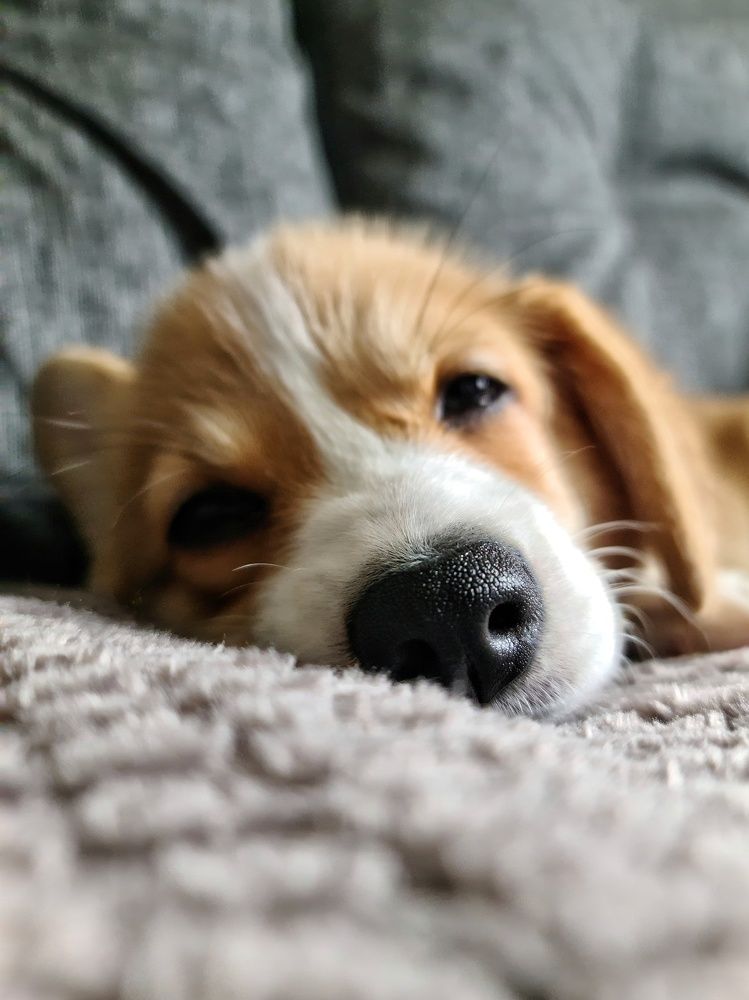 Photograph by Светлана Смирнова