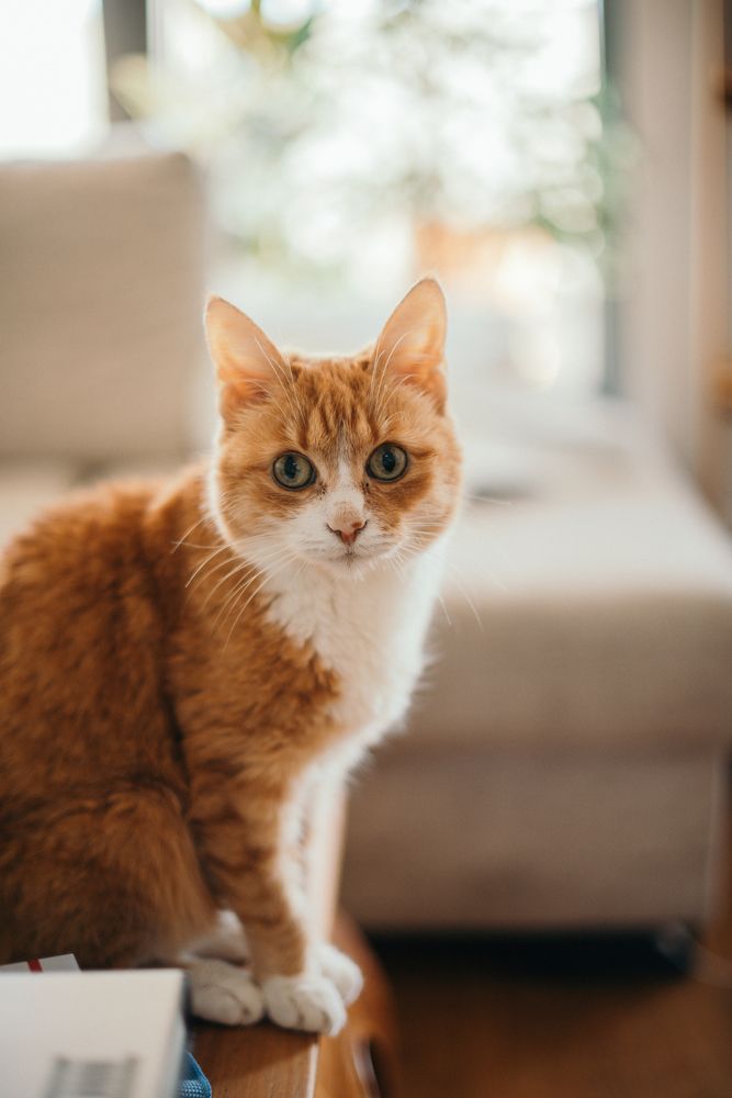 Photograph by Julia Guest