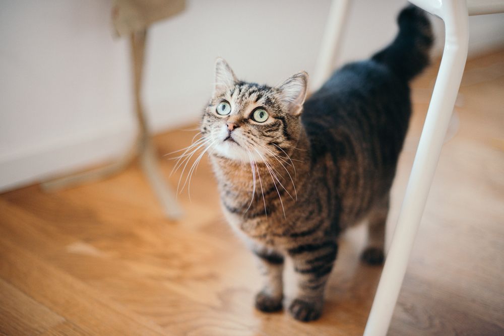 Photograph by Julia Guest