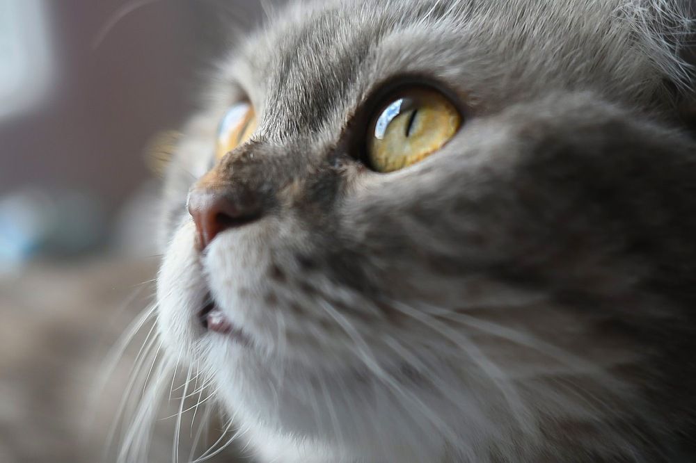 Photograph by Валерия Бердникова