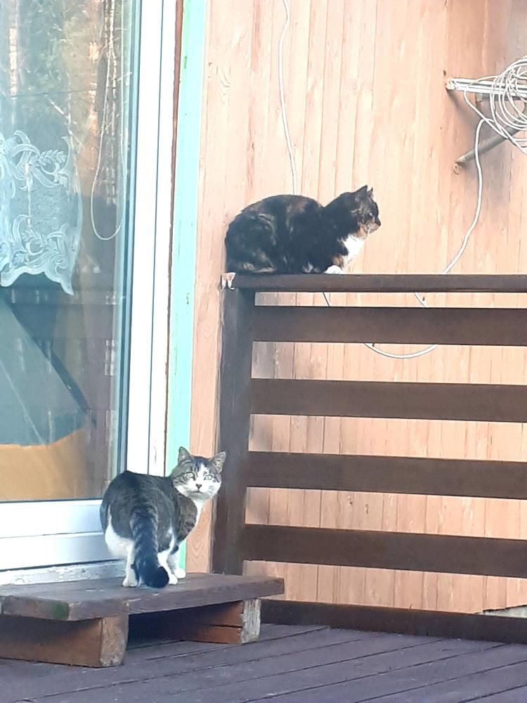 Photograph by Kristiina Soots