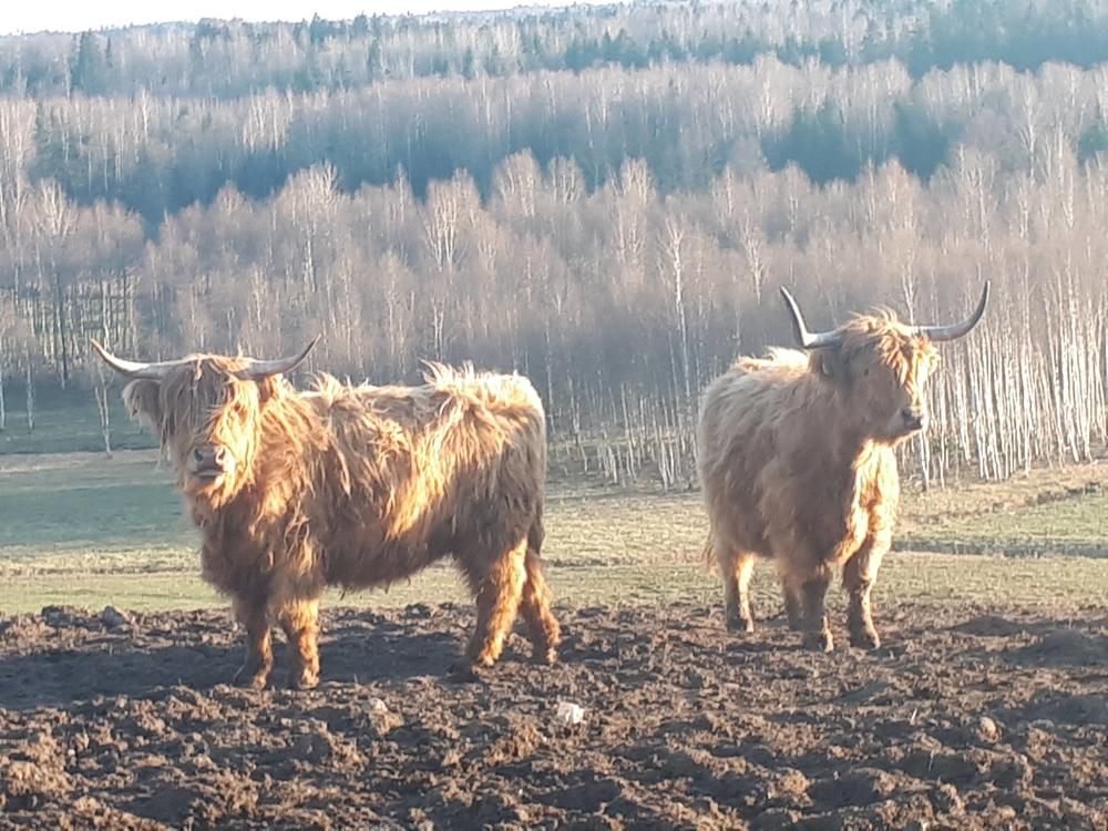 Photograph by Kristiina Soots