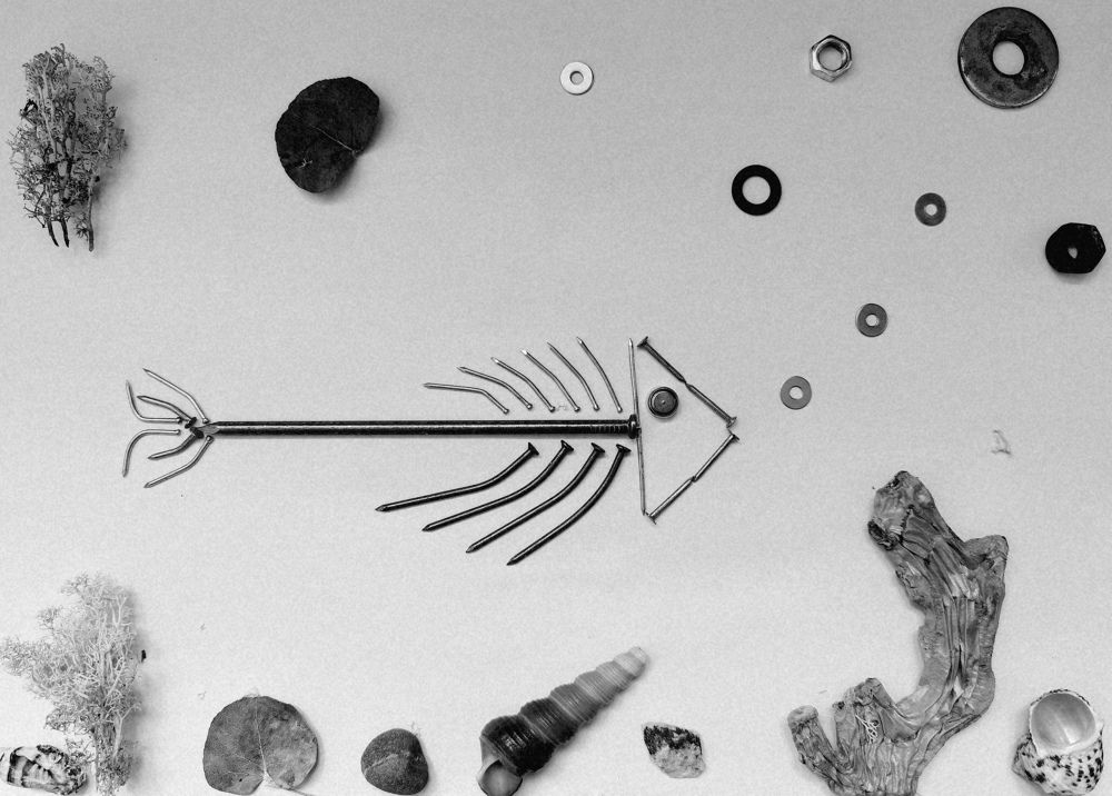 Photograph by Олеся Газиева