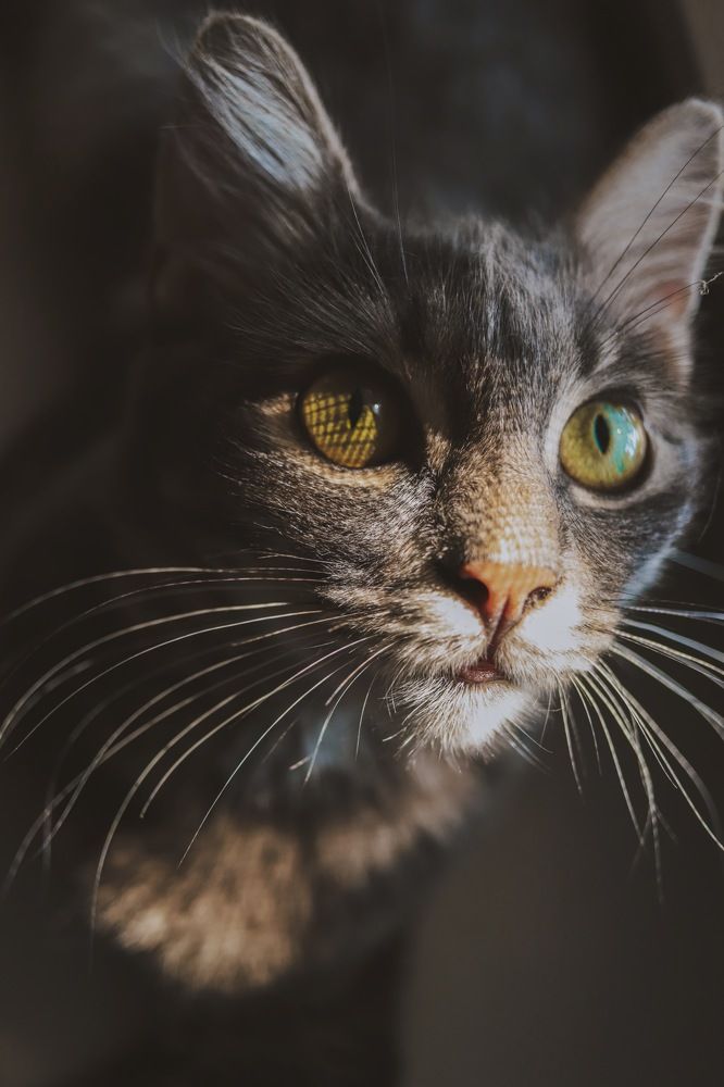 Photograph by Эльвира Мясищева