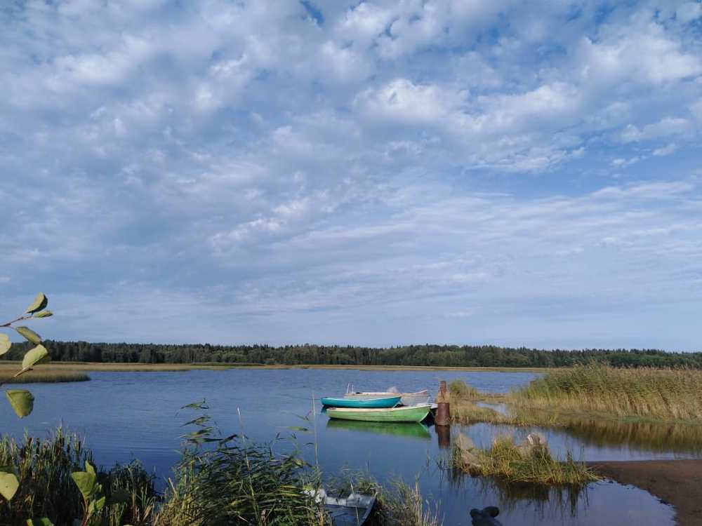 Photograph by Анастасия Кравченко