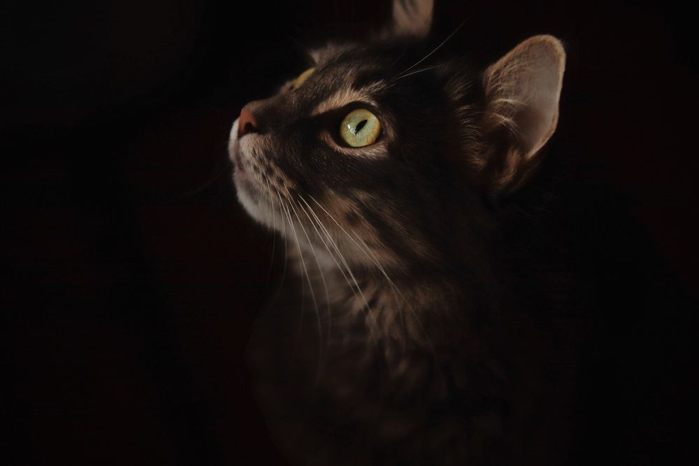 Photograph by Эльвира Мясищева