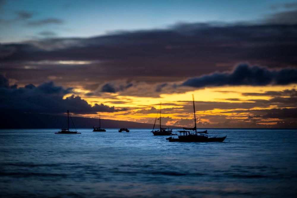 Photograph by Dragos Tranca