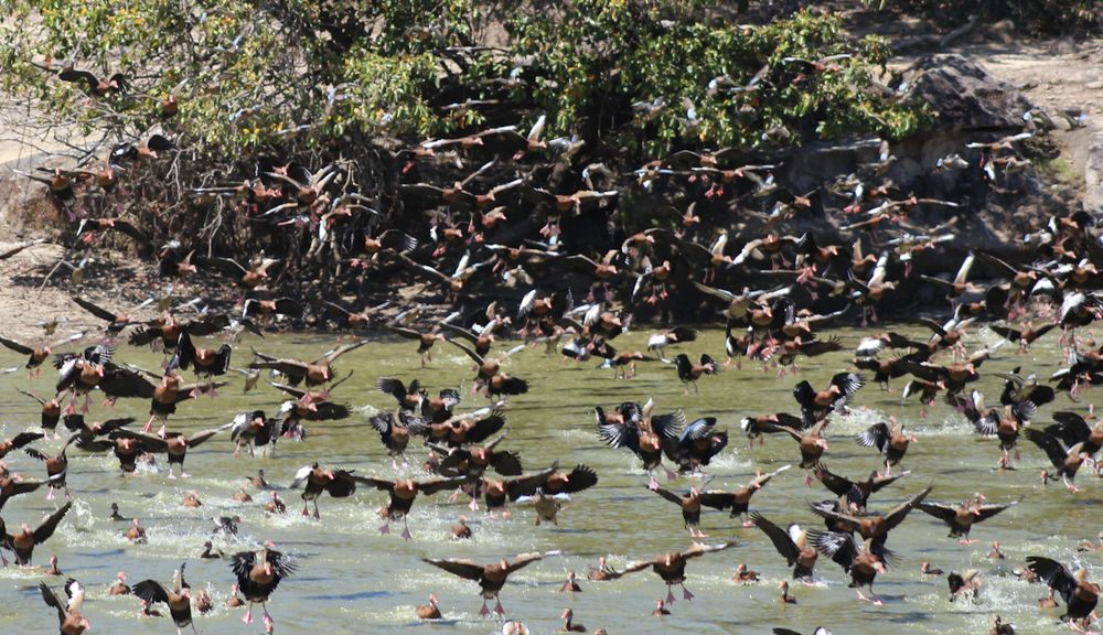 Photograph by Abel Alberto Ruiz Domínguez