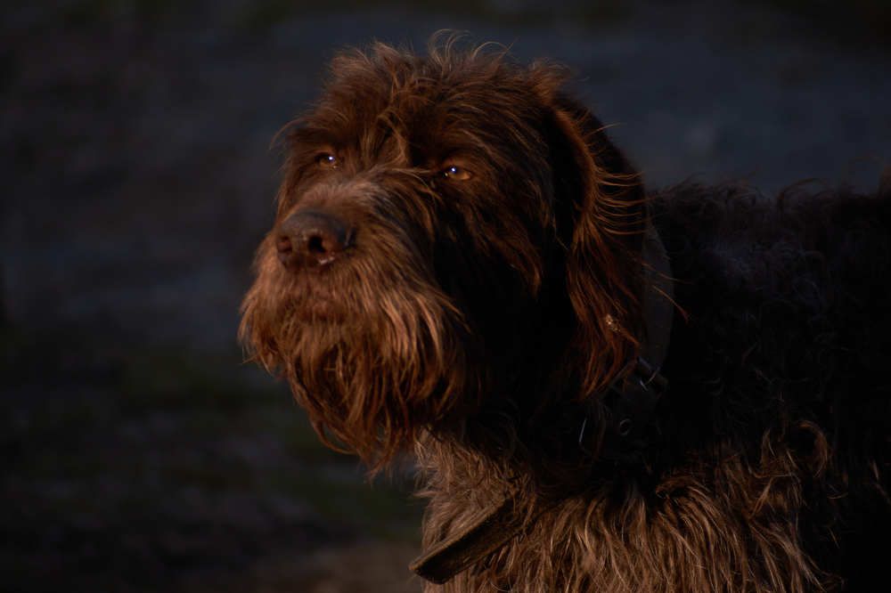 Photograph by Ростисла Будзан