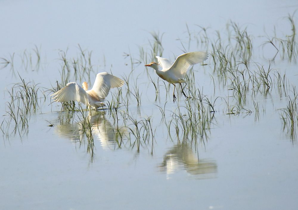 Photograph by juan francisco zamora salmeron