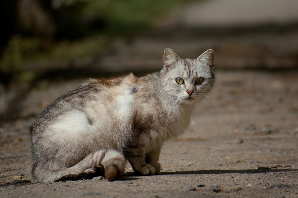 Photograph by Ростисла Будзан