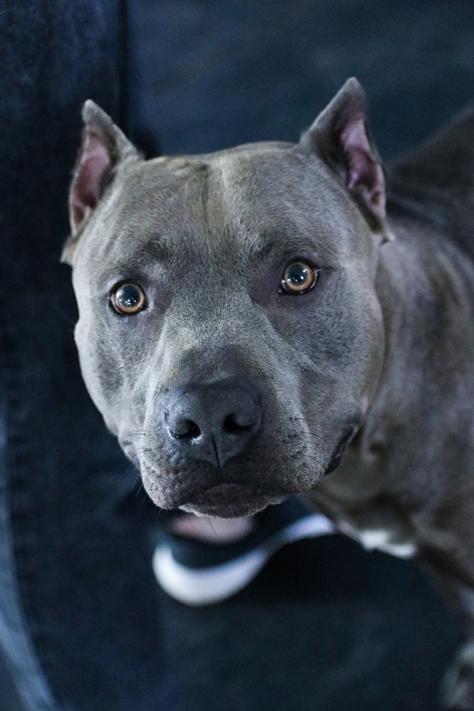 Photograph by Светлана Бевза