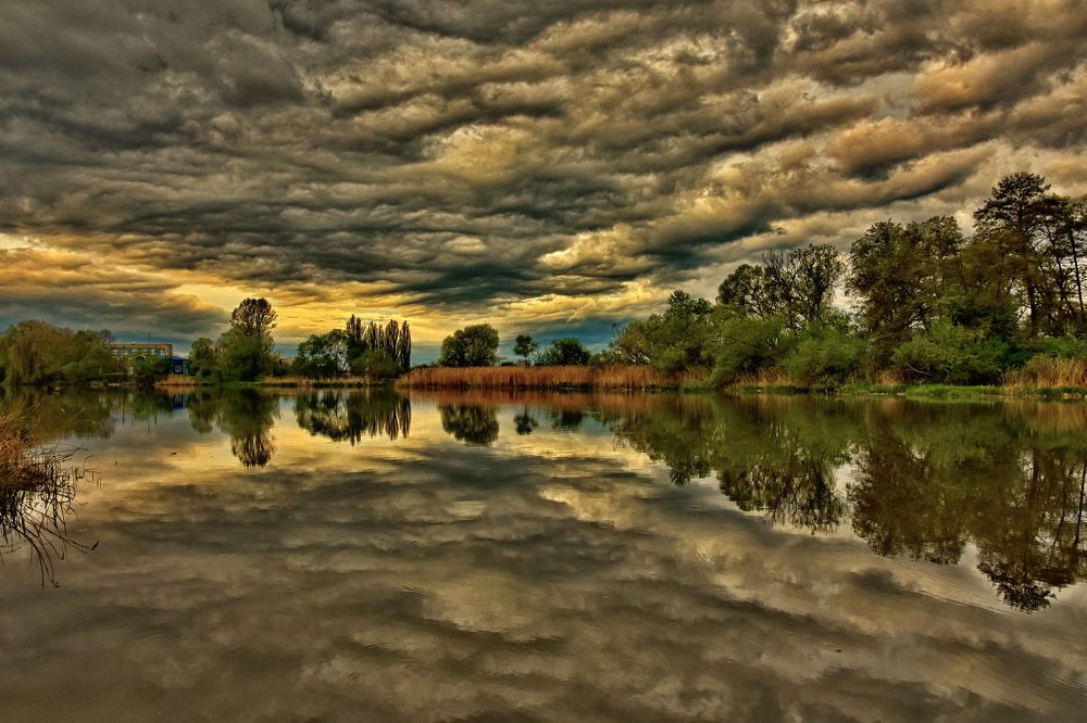 Фотография автора Marius Forgaciu