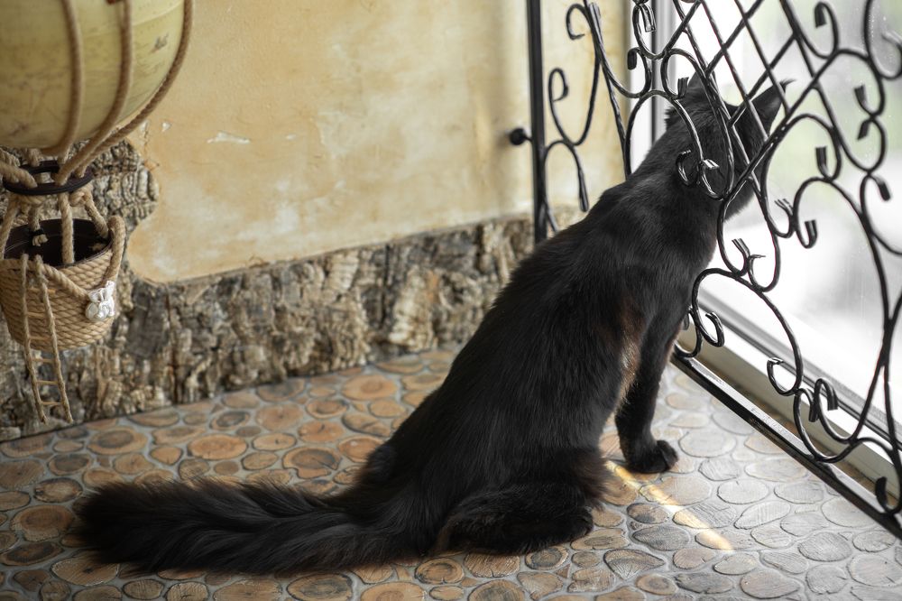 Photograph by Оксана Шаяхметова