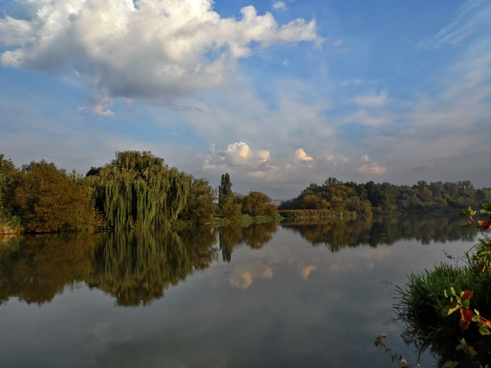 Фотография автора Marius Forgaciu