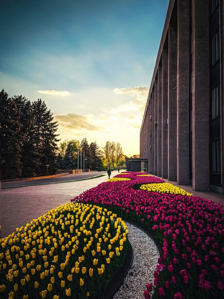 Photograph by Петр