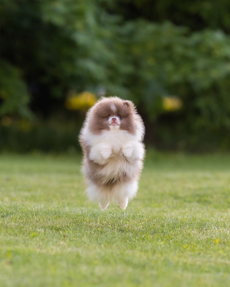 Photograph by Иван Грачев