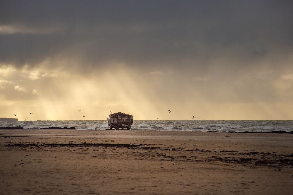 Photograph by Kristine Locika